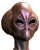 Asgardi